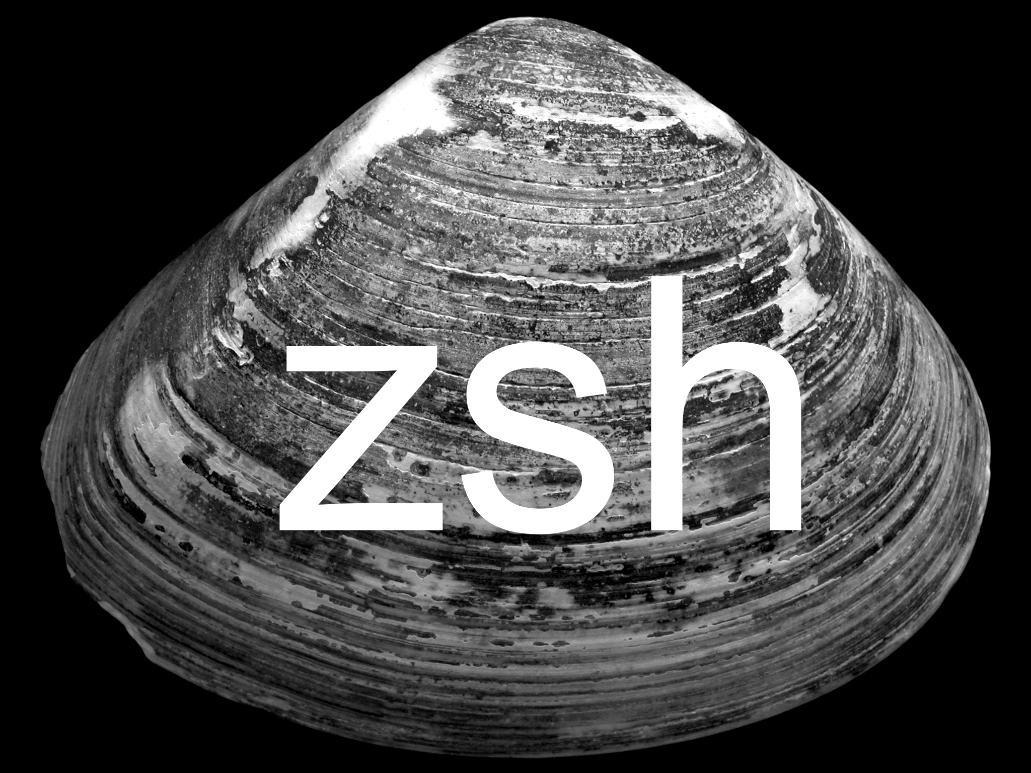 shell